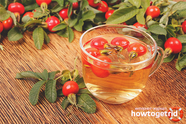 Rosehip Beverage Recipes