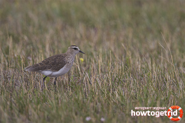 Caractéristiques du cliquet emboîtable