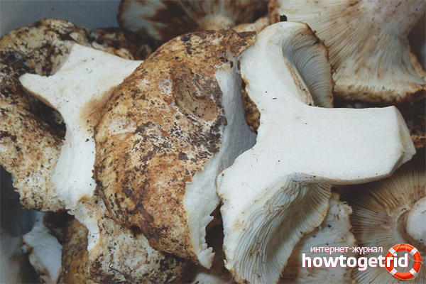 Comment faire cuire des précharges blanches