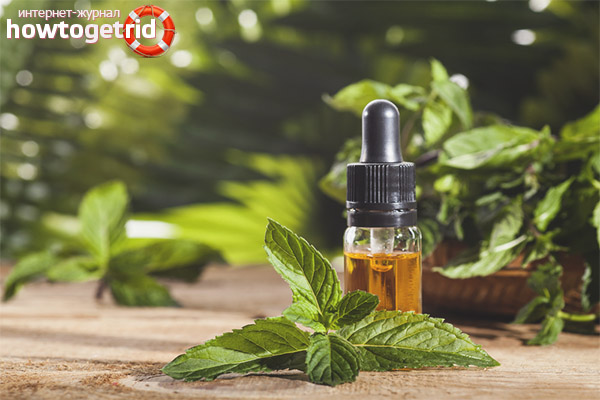 Masques capillaires à la menthe poivrée