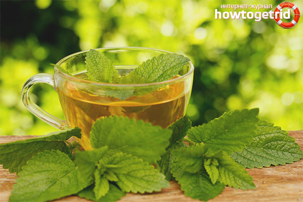 Quel est le thé utile avec la mélisse