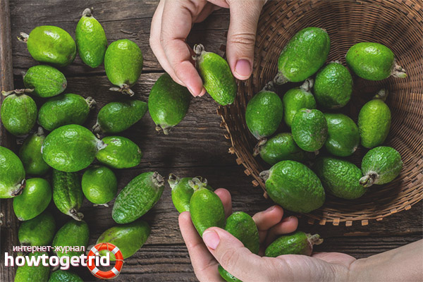 Comment conserver feijoa