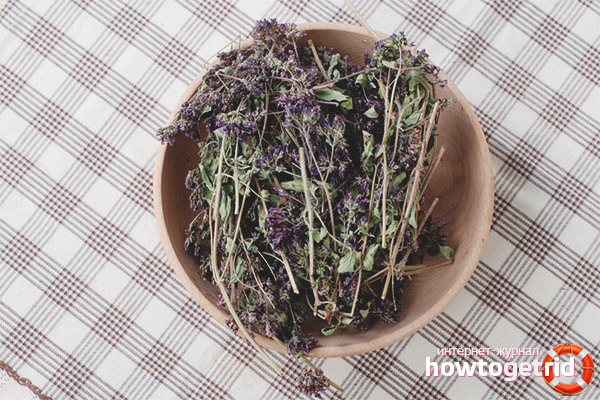 Comment sécher la mélisse