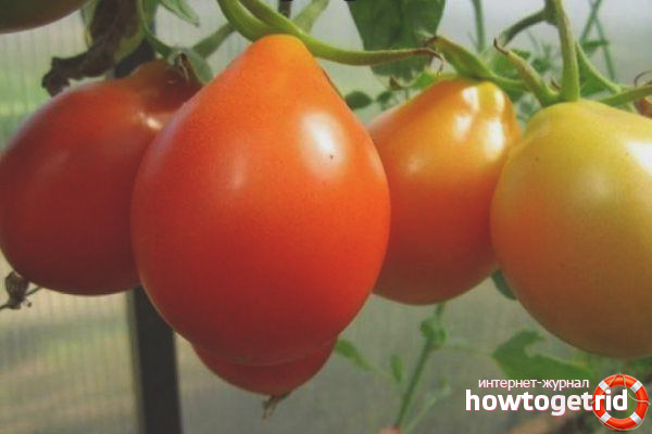 Variétés caractéristiques Kmitsits