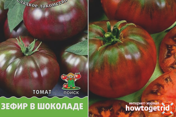 Le bon choix de guimauves aux graines de tomates au chocolat