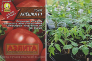 Tomate Alyoshka F1