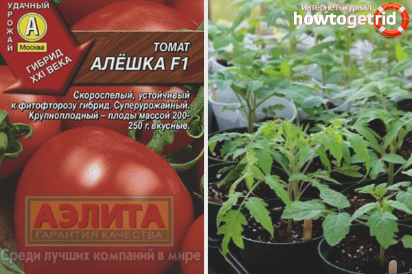 Tomate Alyoshka F1