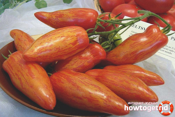 Folie de tomate Kasadi