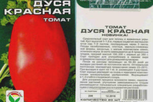 Tomate Dusya rouge