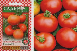 Lever de soleil tomate