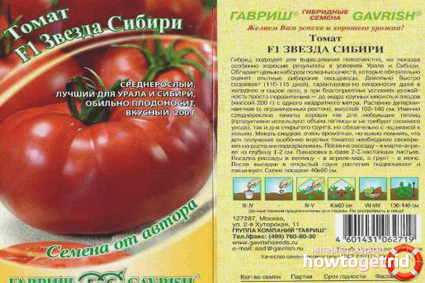 Étoile de tomate de Sibérie