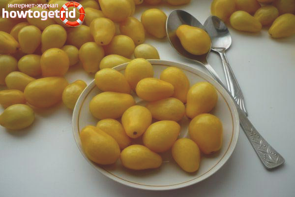 Cultiver des tomates Golden drop