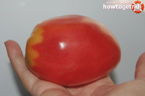 Variétés de tomates