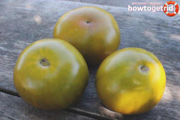 Grenouille tomate princesse