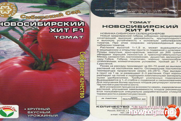 Tomate Novosibirsk a frappé