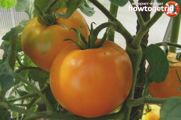 Donut sucré aux tomates