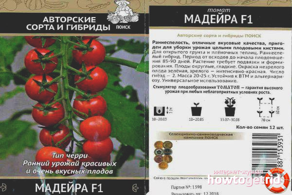 Cultiver des tomates à Madère