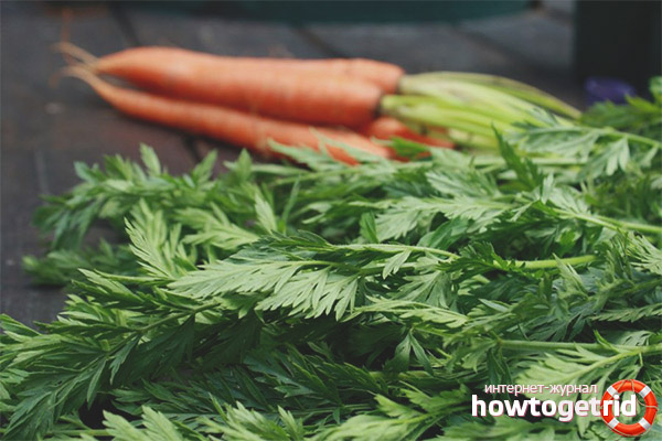 Comment utiliser les sommets à carottes