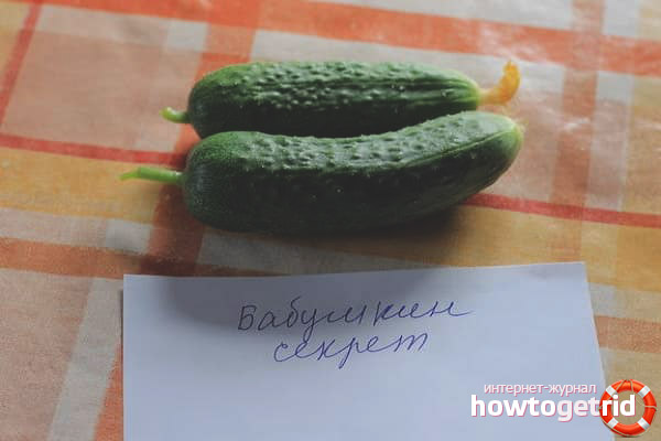 Secret de grand-mère de concombre F1