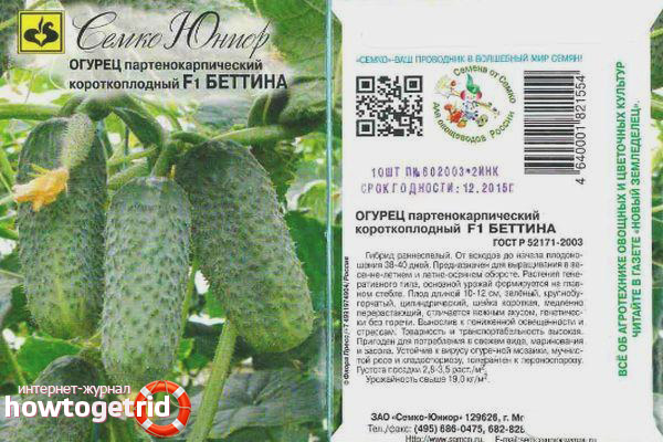 Bettina Cucumber F1