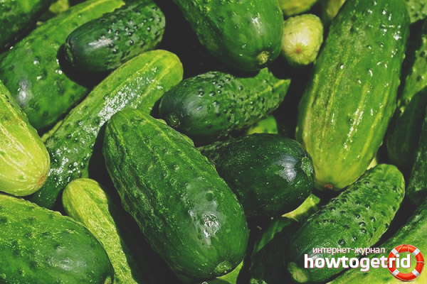 Concombre Borisych F1